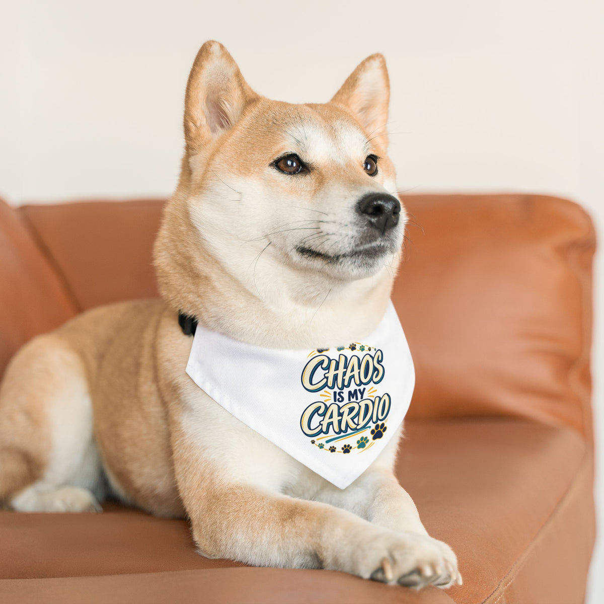 Chaos Is My Cardio Pet Bandana Collar | Paw Print Design